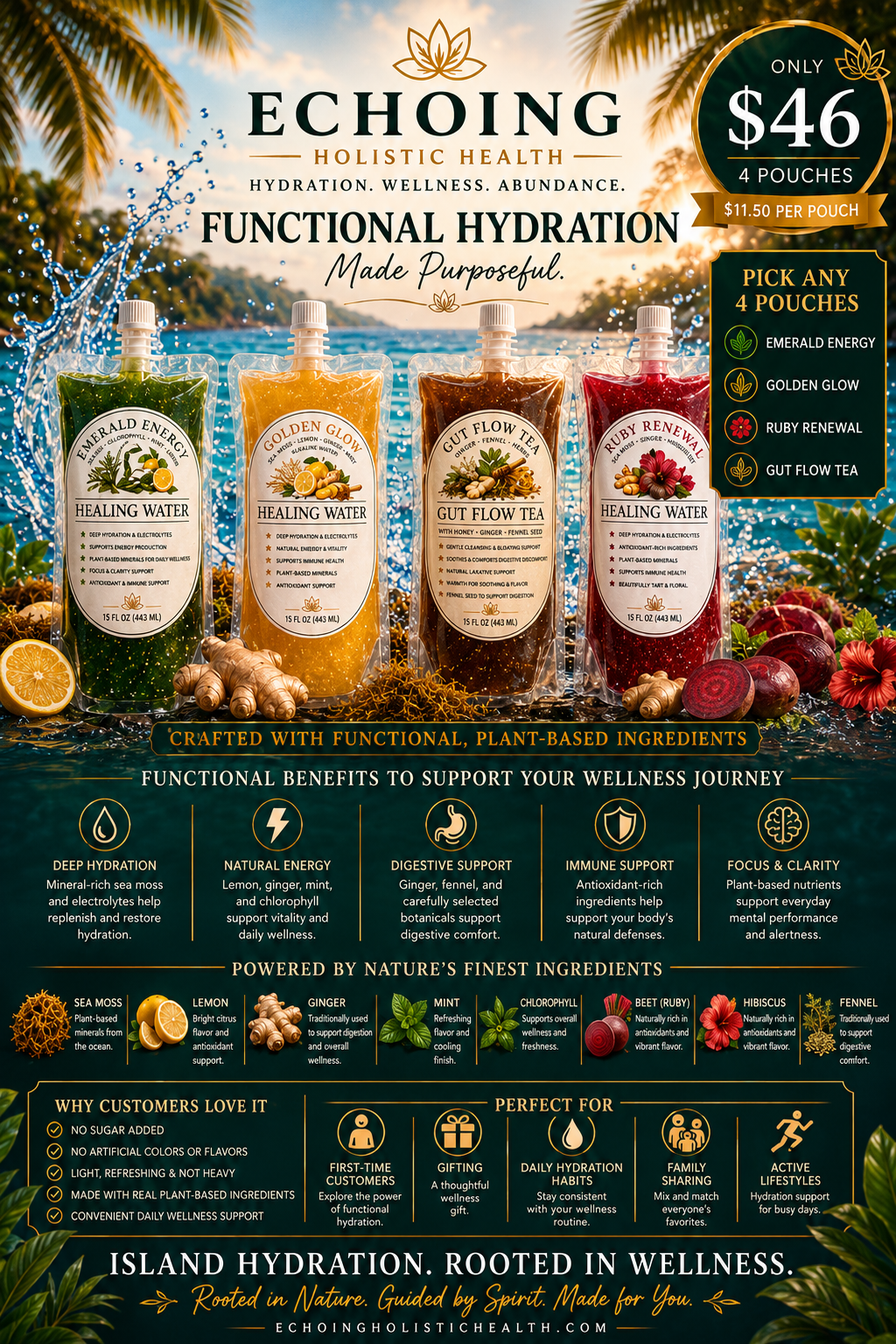 4- Pack, Echoing Holistic Health™ Healing Waters — Functional Hydration Bundle