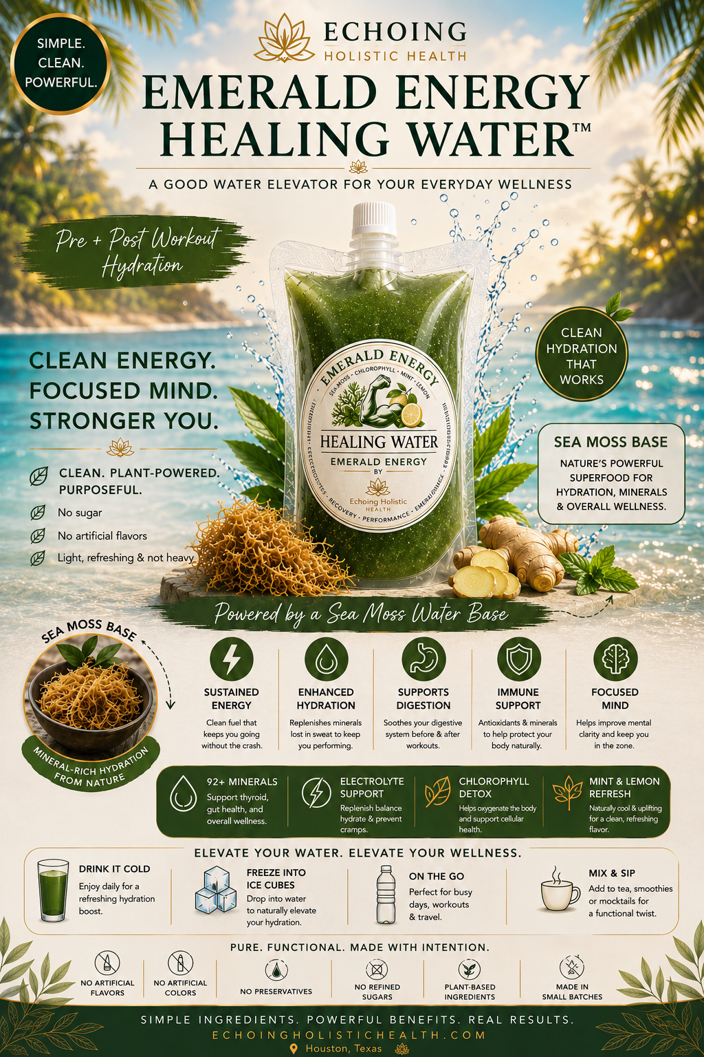 4- Pack, Echoing Holistic Health™ Healing Waters — Functional Hydration Bundle