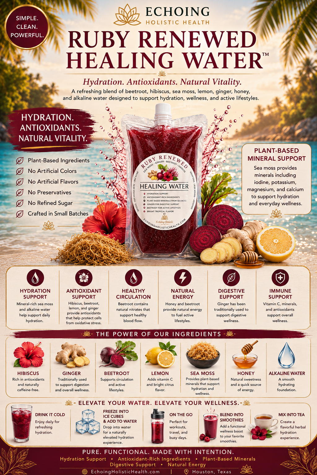 4- Pack, Echoing Holistic Health™ Healing Waters — Functional Hydration Bundle